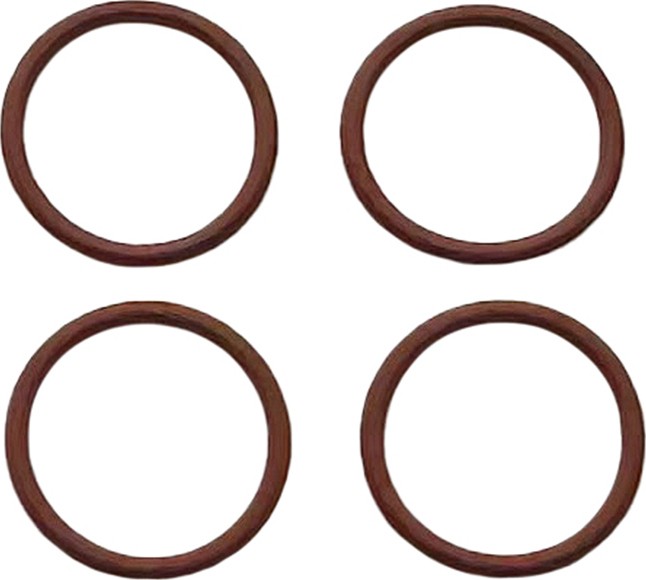 Awesomatix A800FXR OR0876V Dämpfergehäuse O-Ring (4)