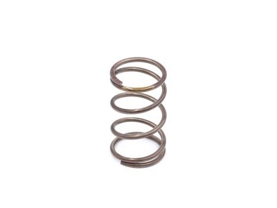 Roche DVS-W Center Damper Spring (EX-Hard)