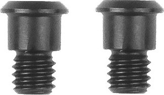 Team Associated TC8 Motor Mount Screws (2)