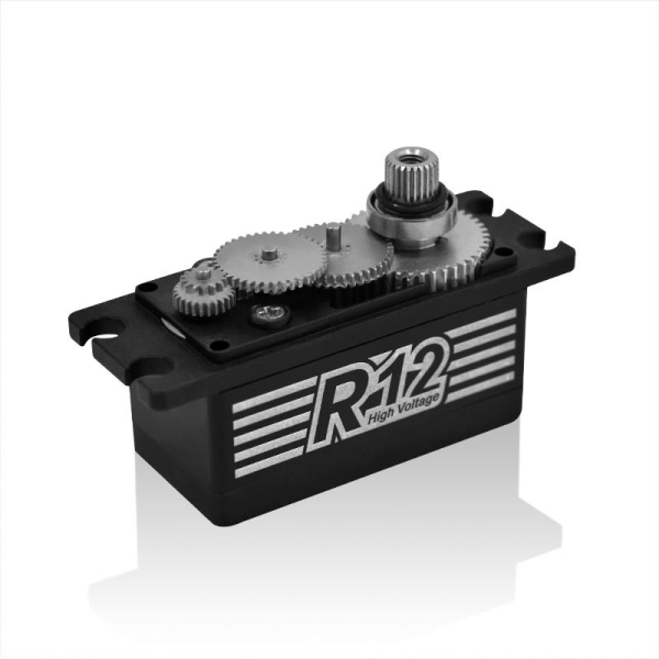 R12_gs_1.jpg