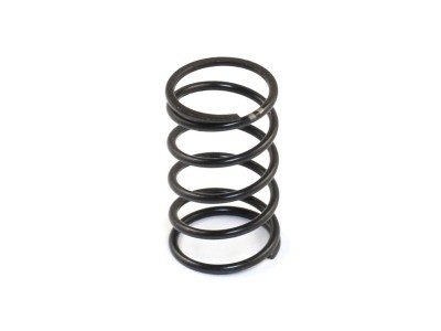Roche DVS-W Center Damper Spring Medium (1)