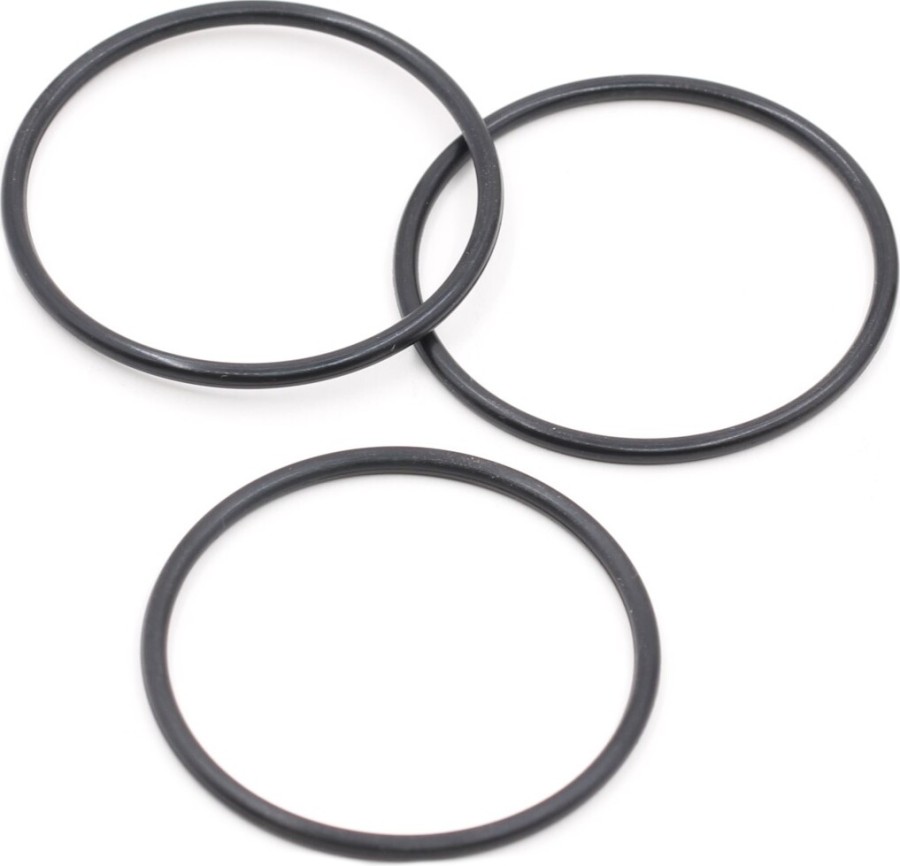 Roche Rapide P12V2 Battery Holder O-Ring (3)