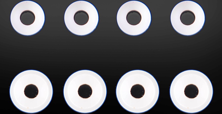 MSB1 Shock Seal Bushings (4+4)